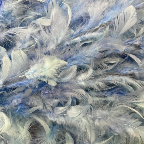 Plumas Celestes
