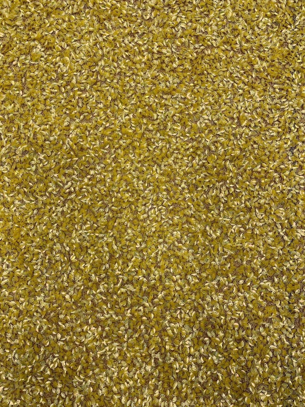 Paillete Amarillo - Imagen 3