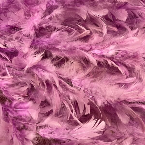 Plumas Malva