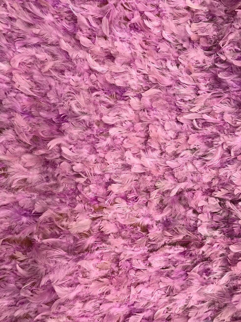 Plumas Malva - Imagen 2