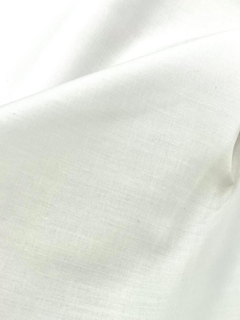 Batista Blanca - Imagen 2